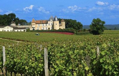 法國葡萄酒莊參觀考察:世界著名的葡萄酒產(chǎn)地