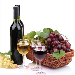 千岸優(yōu)選紅酒加盟 開(kāi)啟法國(guó)葡萄酒連鎖事業(yè)的投資指南