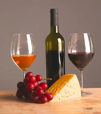 法式餐酒交融 法國葡萄酒與餐飲文化的靈魂對話